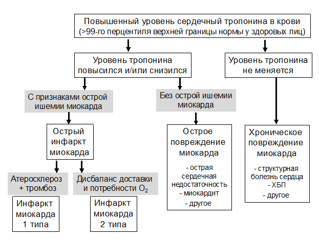 Тропонин при окс. Показатели АСТ И алт при инфаркте миокарда. Окс без подъема St дифференциальная диагностика. Повышение алт и АСТ при инфаркте миокарда. ЭКГ дифференциальная диагностика инфаркта миокарда.