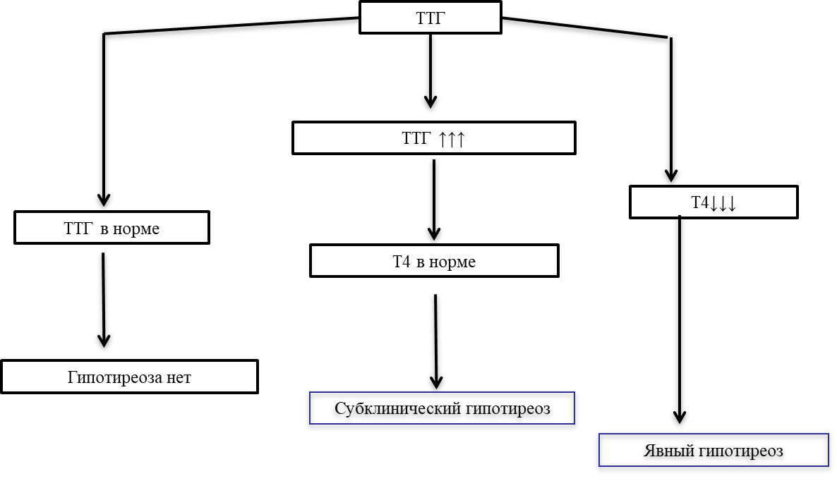 Схема лечения гипотиреоза