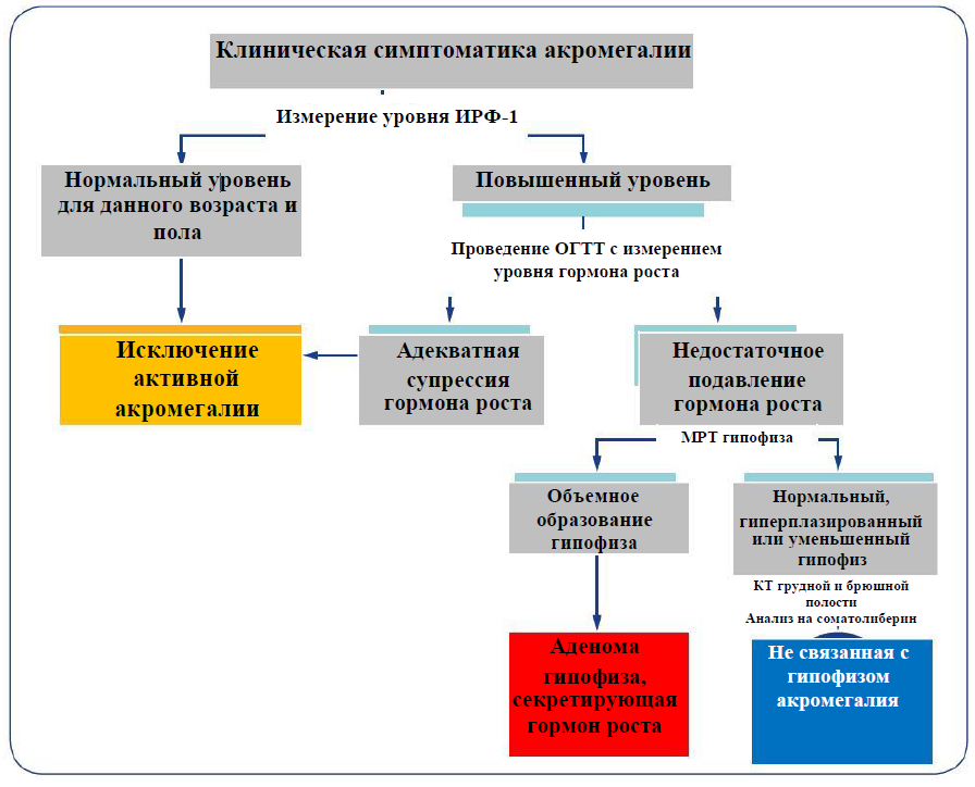 Диагностический алгоритм акромегалии. Диагностический алгоритм в эндокринологии». Алгоритм лечения акромегалии. Акромегалия патогенез.